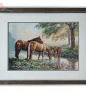 Horses by a stream