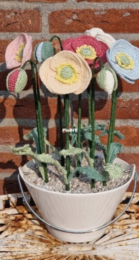 Yvonne's Crochet Art - Yvonne Blanker - Yvonne’s Papavertjes - Yvonne’s Poppy's - Dutch - Free