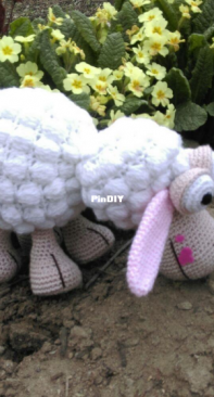 Tuba.hatun - Tuba Hatun - Sheep Meli - Koyun Meli - Turkishj