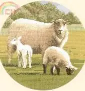 Heritage Animal Magic AMWJ448 - Woolly Jumpers by John Clayton