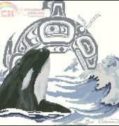 The Stitching Studio by Sue Coleman - Killer Whale