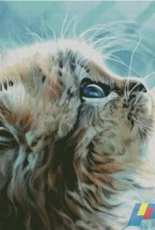 Chimera Clear Eyes