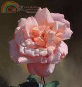 Classic Cross Stitch - FR 255 Pink Roses