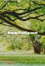 Chimera - Triptych Tree