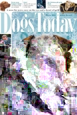 Dogs Today UK - December 2018