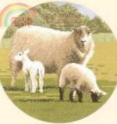 Heritage AMWJ448 Wooly Jumpers