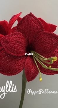 Pippa Patterns - Connie Rockliff - Amaryllis