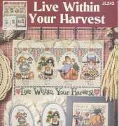 Jeremiah Junction 243 Live Within Your Harvest PCS