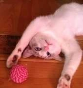 play time