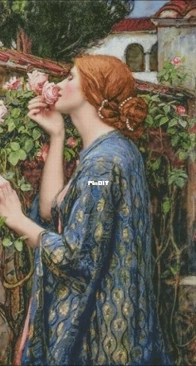 Soul Of A Rose by Elena Petrova xsd
