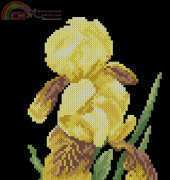 Yellow Iris 865 from Hafty Polskie 5 2003 XSD