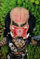 the Predator