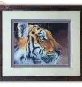 Regal Tiger