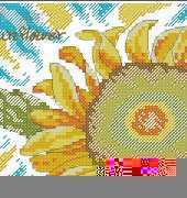 jasuzip-2005-10-sunflower-5
