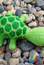 Sheldon Turtle by Ruth Homrighaus-Free