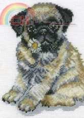 DMC  K5424 Pug Puppy