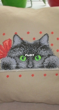Cat pillow