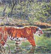 Classic Cross Stitch AN 221 - Flight and Wildlife
