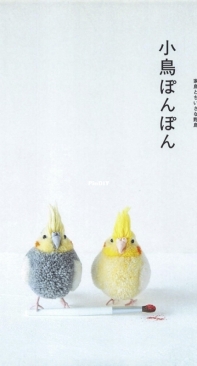 Kaylie Books - Birds pom pom by Trikotri  - Japanese