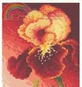 Coricamo 4690 - Sophisticated Iris