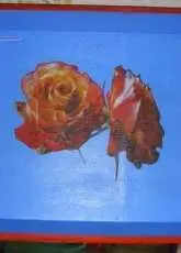 Tabuleiro em Decoupage