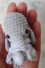 Baby elephant