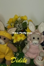 Elderberry bunny