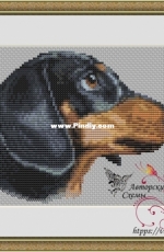 Dachshund by Irina Bulgakova - Free