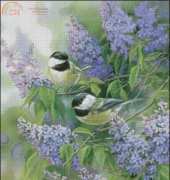 FIORI 144