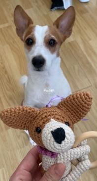 Real dog and amigurumi jack russel