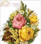 Golden Kite 1291 - Yellow and Pink Roses