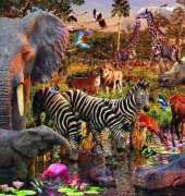 HAED HAEDAP 106 Waterhole Master by David Penfound Artworks XSD