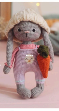 AlinetToys - Alina Yapaeva - Bunny Lola - Chinese - Translated