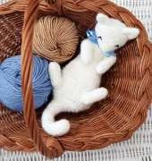 Stuff The Body - Natalia Osinska - Rub my belly kitten cat