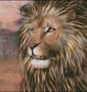 HAELAP131 Soul Of The Masai Mara