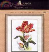 Alisa  2-14 Tulip xsd