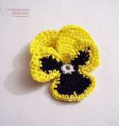 Meli Bondre - Camelia Shanahan - Pansy Flower