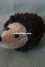 Hedgehog