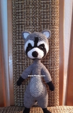 Raccoon
