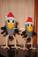 New Years chicks