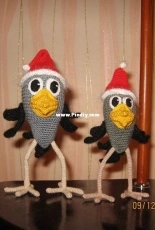 New Years chicks