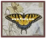 Chimera - Butterfly Vintage 9 by Jane Shasky