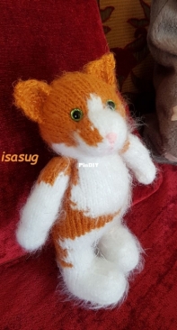 Cat for my friend
