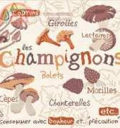 Lili Points G022 Les Champignons (mushrooms)