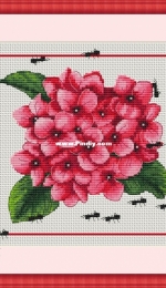 Hydrangea with Ants by Denver / Elzbieta Wrzalik - Free