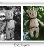 Samuel the Cat