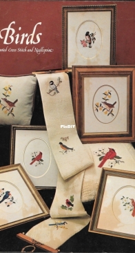 Busy Hands Needlework Designs - Book 6 - Birds