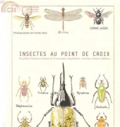 Marabout-Insectes au Point de Croix