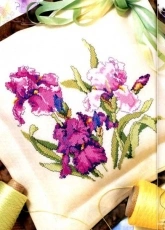 Iris Portrait by Jorja Hernandez from Cross Stitch Gold 4 XSD