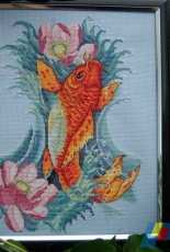 Merejka Koi Fish